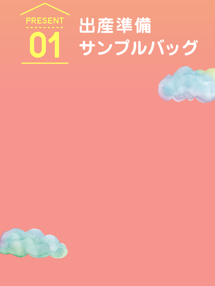 PRESENT 01 出産準備 サンプルバッグ